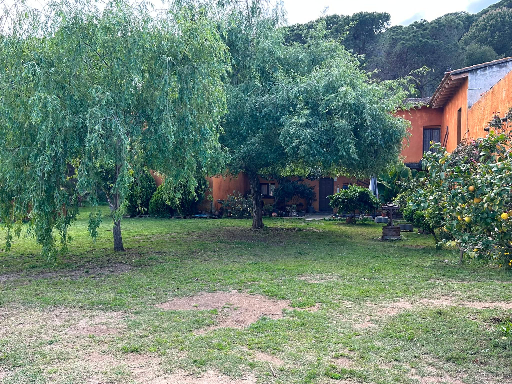 Nuestra casa entre los árboles en Sant Vicenç de Montalt